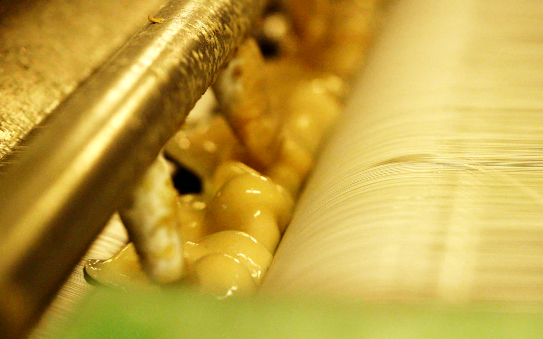 Quality Control Steps in Textile Sizing: Ensuring Optimal Warp Performance